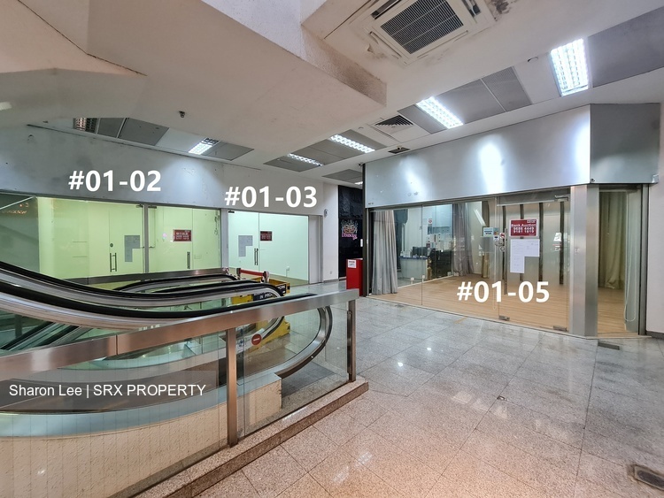 Midpoint Orchard (D9), Retail #441703201